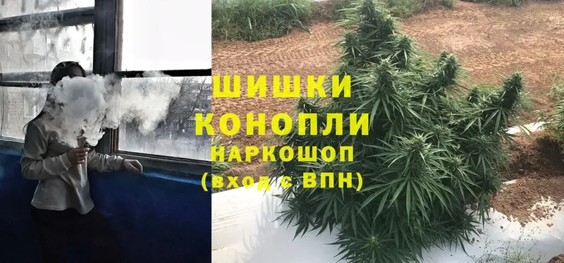 Каннабис LSD WEED  МЕГА   Солигалич 